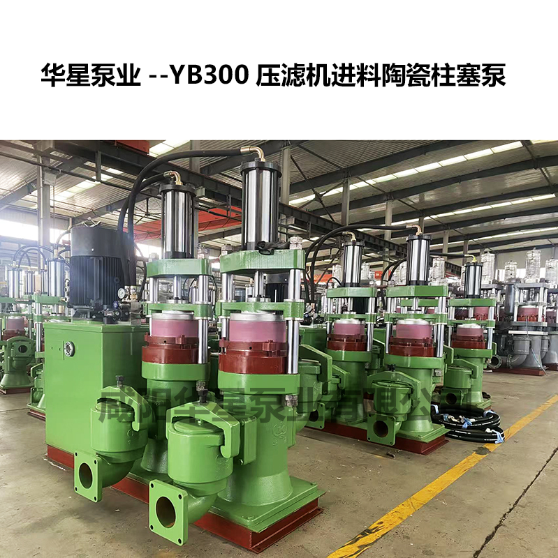 耐磨礦山冶金用壓濾機(jī)高壓進(jìn)料泵